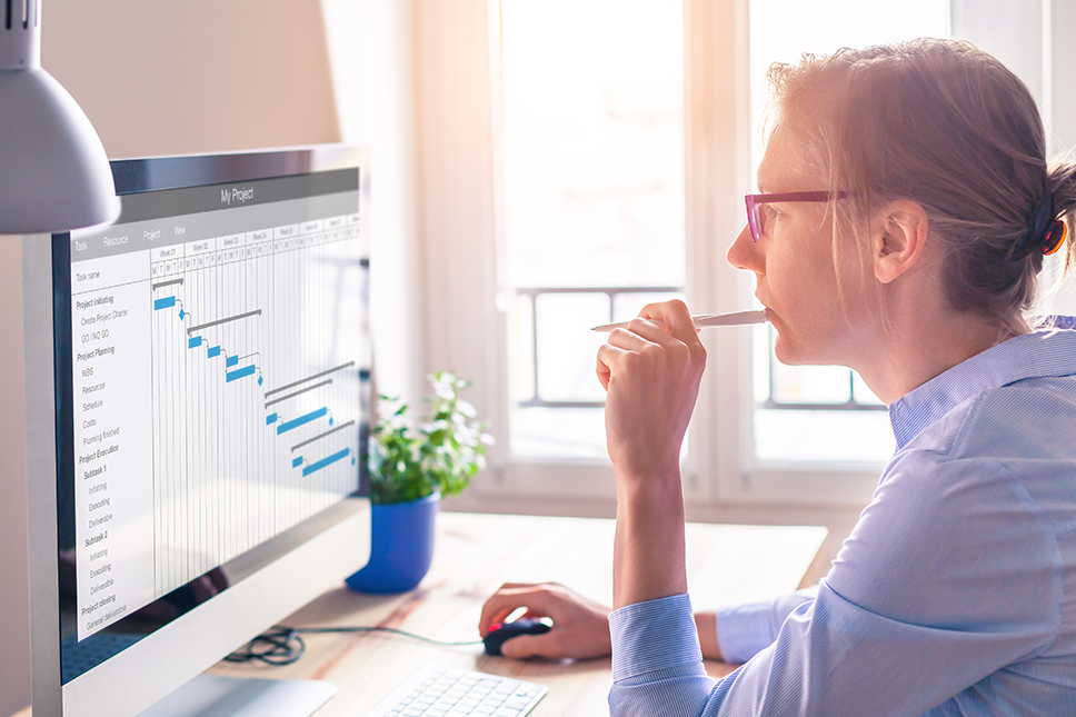 Project Management Degree vs. PMP Certification | UAGC ...