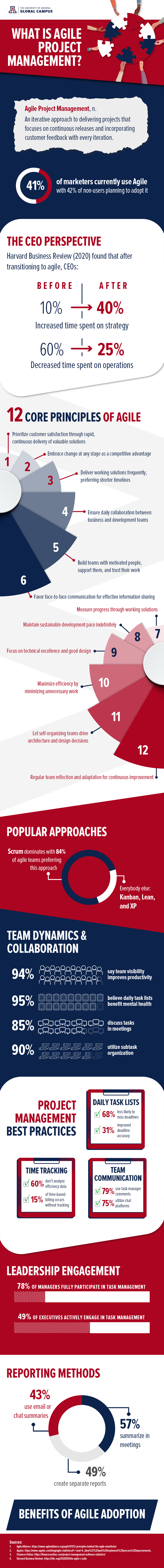 what is agile project management infographic