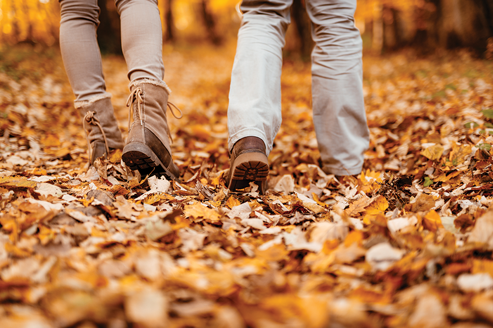 couple walking in fall leaves