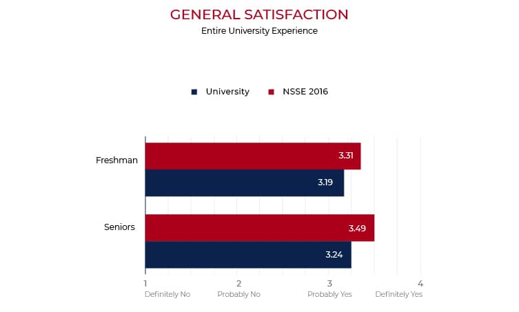 entire education experience graph