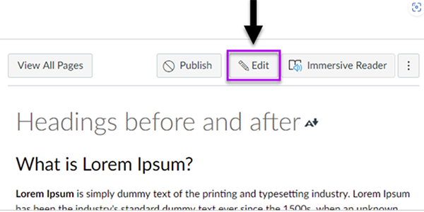 header of canvas visualizing the section to open the accessibility checker