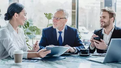 Professionals in a meeting