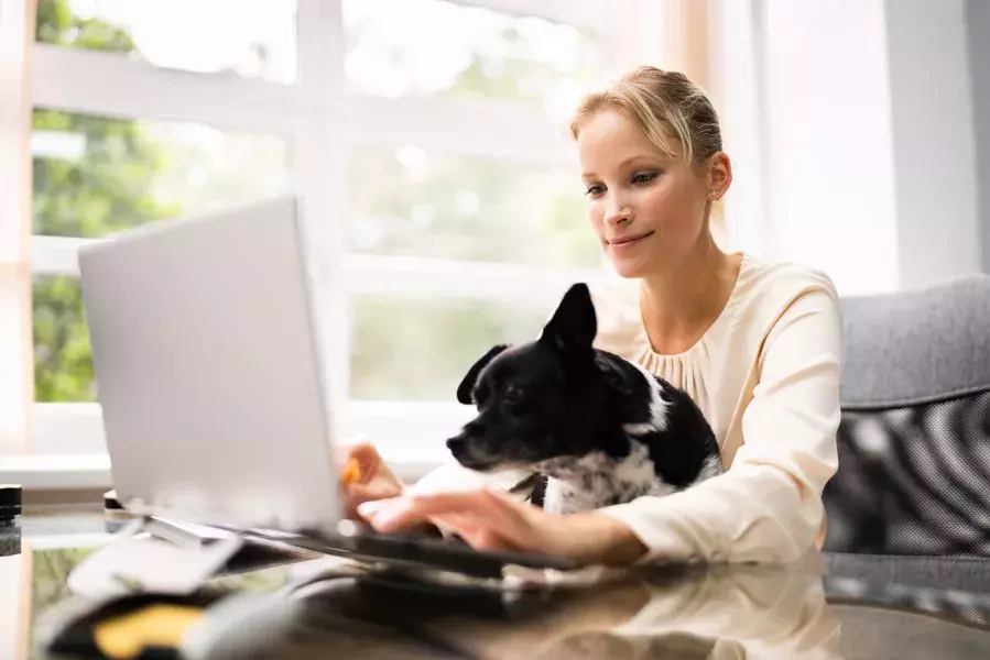 lady on laptop