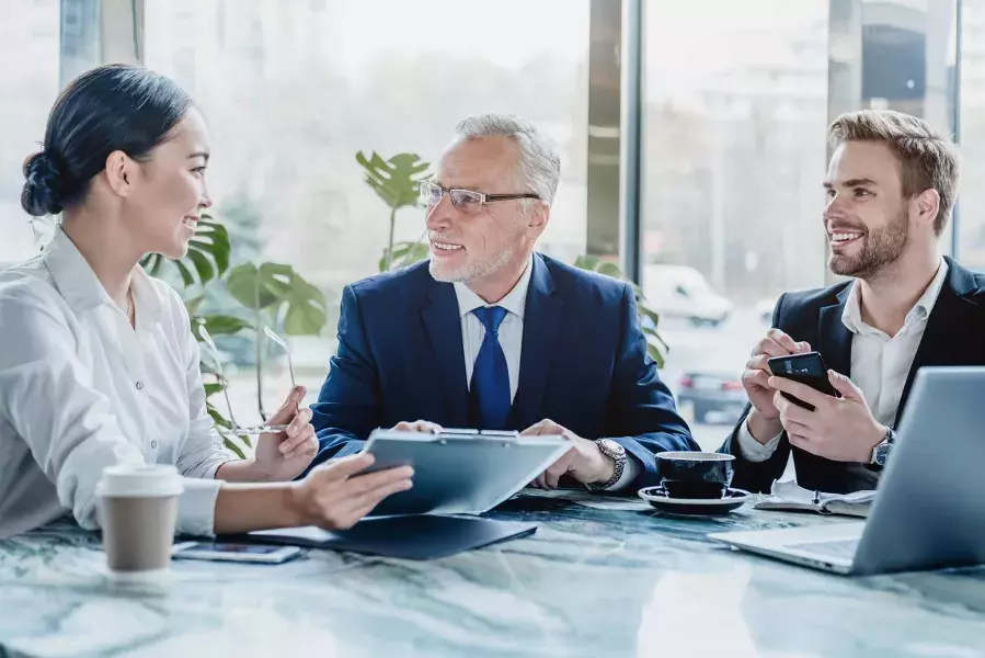 Professionals in a meeting