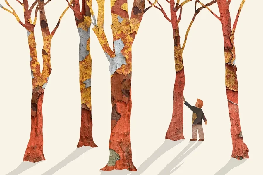Illustration of a forest with bark textured tree trunks, shadows with a person touching a trunk.