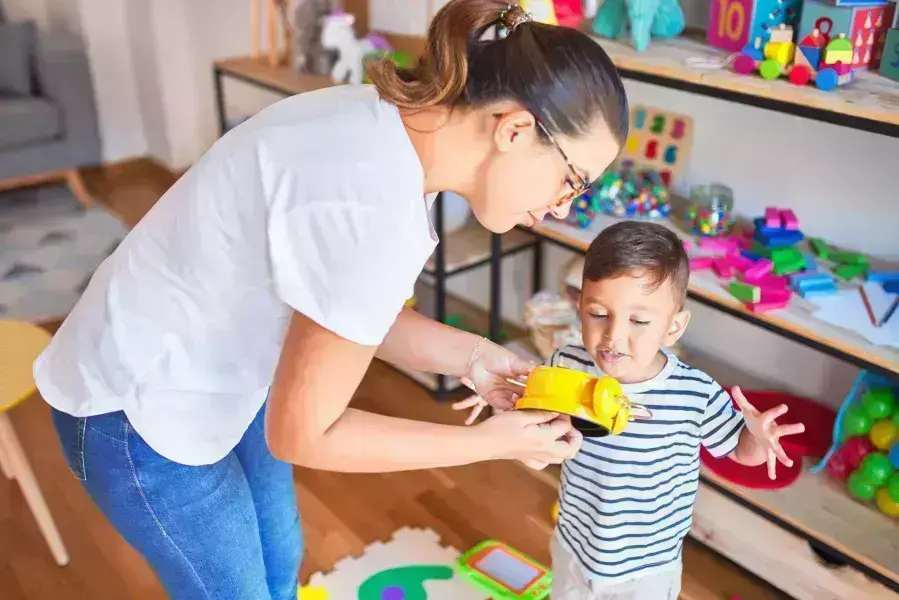 what are the four theories of child development