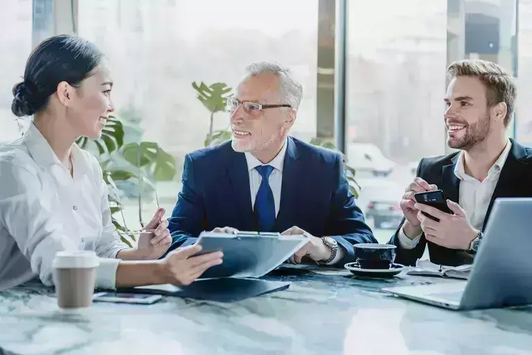 Professionals in a meeting