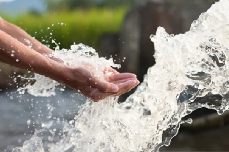 hands in water